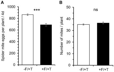 The Beneficial Endophytic Fungus Fusariumsolani Strain K Alters Tomato Responses Against Spider Mites to the Benefit of the Plant